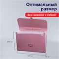 Папка-портфель пластиковая BRAUBERG А4 (327х254х30 мм), 13 отделений, розовая, 221441 221441