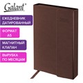 Ежедневник датированный 2025 А5 148х218 мм GALANT "Magnetic", под кожу, клапан, коричневый, 115709 115709