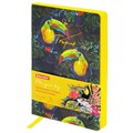Ежедневник недатированный B6 (127х186 мм), BRAUBERG VISTA, под кожу, гибкий, 136 л., "Toucan tropics", 112114 112114