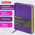 Ежедневник недатированный МАЛЫЙ ФОРМАТ 100x150 мм, А6, BRAUBERG "Iguana", под кожу,160 л., сиреневый, 114470 114470