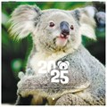 Календарь настенный перекидной на 2025 г., BRAUBERG, 12 листов, 22,5х22,5 см, МИНИ, "Дикие животные", 116179 116179