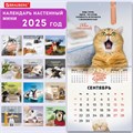 Календарь настенный перекидной на 2025 г., BRAUBERG, 12 листов, 22,5х22,5 см, МИНИ, "Не падай духом", 116178 116178