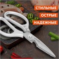 Ножницы кухонные DASWERK, 210 мм, с открывашкой, зазубренные, металлические ручки, 608901 608901