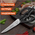 Ножницы кухонные DASWERK, 230 мм, разборные, с открывашками, зазубренные, 608906 608906