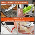 Ножницы-секатор кухонные DASWERK, 260 мм, фиксатор, зазубренные, металлические, 608902 608902