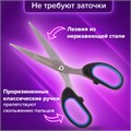 Ножницы BRAUBERG "Classic+", 160 мм, черно-синие, классической формы, резиновые вставки, 236447 236447