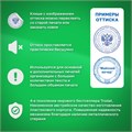 Оснастка для печатей, оттиск D=42 мм, синий, TRODAT 4642 PRINTY 4.0, корпус синий, крышка, подушка, 66584 236813