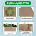 Крафт-пакет бумажный 24х14х28 см, КОМПЛЕКТ 50 шт., крученые ручки, плотность 90 г/м2, LAIMA ECO CRAFT, 609685 609685