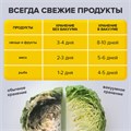 Рулон для вакуумного упаковщика, рифленый, 28х500 см, 1 шт., SONNEN, максимальный вакуум, 456343 456343