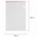 Пакеты с замком ZIP LOCK "зиплок", комплект 100 шт., 250х300 мм, ПВД, толщина 40 микрон, BRAUBERG, 606217 606217