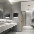 Диспенсер для полотенец LAIMA PROFESSIONAL ORIGINAL (Система H2), Z-сложения, черный, ABS-пластик, 605760 605760