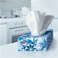 Салфетки косметические 100 штук в картонном боксе, 2-слойные, ZEWA Everyday, 24516, 6286 124758