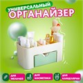 Органайзер для хранения косметики, канцтоваров, мелочей MINI 22х10,5х11 см, DASWERK, 608479 608479