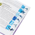 Закладки для книг МАГНИТНЫЕ c высечкой, "MARINE LIFE", набор 6 шт., 35х25 мм, BRAUBERG, 113163 113163