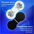 Закладки для книг МАГНИТНЫЕ, "FLOWERS", набор 6 шт., 32х28 мм, BRAUBERG, 113168 113168
