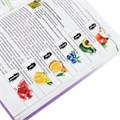 Закладки для книг МАГНИТНЫЕ, "FRUITS", набор 12 шт., 60x20 мм, BRAUBERG, 113173 113173