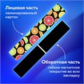 Закладки для книг МАГНИТНЫЕ, "FRUITS", набор 6 шт., 60x20 мм, BRAUBERG, 113160 113160