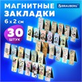 Закладки для книг МАГНИТНЫЕ, "MIX 2", набор 30 шт., 60x20 мм, BRAUBERG, 113178 113178