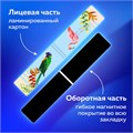 Закладки для книг МАГНИТНЫЕ, "MIX", набор 30 шт., 60x20 мм, BRAUBERG, 113175 113175