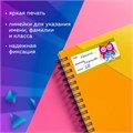 Наклейки для маркировки школьных принадлежностей "Совы", 12 штук, 14х21 см, ЮНЛАНДИЯ, 662710 662710
