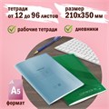 Обложки ПВХ для тетрадей и дневников, КОМПЛЕКТ 10 шт., ЦВЕТНЫЕ, ПЛОТНЫЕ, 100 мкм, 210х350 мм, ПИФАГОР, 227477 227477