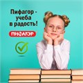 Обложки ПЭ для тетрадей и дневников, КОМПЛЕКТ 10 шт., 60 мкм, 210х350 мм, прозрачные, ПИФАГОР, 229368 229368