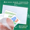 Пленка самоклеящаяся для учебников и книг, 45х30 см, комплект 10 шт., фактурная, ПИФАГОР, 227203 227203