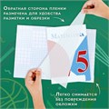 Пленка самоклеящаяся для учебников и книг, 50х36 см, комплект 10 шт., фактурная, ПИФАГОР, 227201 227201