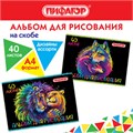 Альбом для рисования А4 40 л., скоба, обложка офсет, ПИФАГОР, 203х288 мм, "Нежность" (2 вида), 106700 106700
