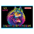 Альбом для рисования А4 40 л., скоба, обложка офсет, ПИФАГОР, 203х288 мм, "Нежность" (2 вида), 106700 106700