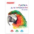 Папка для рисования БОЛЬШОГО ФОРМАТА А3, 40 л., 120 г/м2, ПИФАГОР, 297х420 мм, "Попугай", 129219 129219