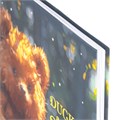 Дневник 1-4 класс 48 л., гибкая обложка, ЮНЛАНДИЯ, выборочный лак, с подсказом, "Медвежонок", 107141 107141