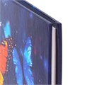 Дневник 1-4 класс 48 л., твердый, BRAUBERG, глянцевая ламинация, с подсказом, "Бабочки", 106829 106829