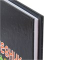 Дневник 1-4 класс 48 л., твердый, BRAUBERG, глянцевая ламинация, с подсказом, "Милый котик", 106835 106835
