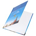 Дневник 1-4 класс 48 л., твердый, BRAUBERG, глянцевая ламинация, с подсказом, "Российский", 106832 106832