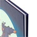 Дневник 1-4 класс 48 л., твердый, ЮНЛАНДИЯ, глянцевая ламинация, с подсказом, "Ниндзя", 106823 106823