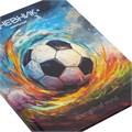 Дневник 1-4 класс 48 л., твердый, ЮНЛАНДИЯ, глянцевая ламинация, с подсказом, "Футбол", 107148 107148