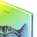 Дневник 5-11 класс 48 л., твердый, BRAUBERG, выборочный лак, с подсказом, "Это кот", 106886 106886