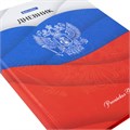 Дневник 5-11 класс 48 л., твердый, BRAUBERG, глянцевая ламинация, с подсказом, "Герб", 106625 106625