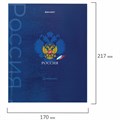 Дневник 5-11 класс 48 л., твердый, BRAUBERG, глянцевая ламинация, с подсказом, "Символика", 106878 106878
