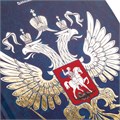 Дневник 5-11 класс, 48 л., твердый, BRAUBERG, фольга, с подсказом, "Российский", 106075 106075