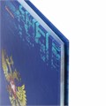 Дневник 1-11 класс 40 л., твердый, BRAUBERG, ламинация, цветная печать, "РОССИЙСКОГО ШКОЛЬНИКА-8", 106860 106860