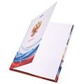 Дневник 1-11 класс 40 л., твердый, BRAUBERG, ламинация, цветная печать, РОССИЙСКОГО ШКОЛЬНИКА-4, 106052 106052