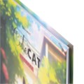 Дневник 1-11 класс 40 л., твердый, BRAUBERG, матовая ламинация, "Cute Cat", 107180 107180