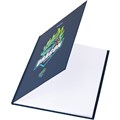 Дневник 1-11 класс 40 л., твердый, BRAUBERG, матовая ламинация, "Dragon", 107178 107178