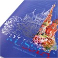Дневник 1-11 класс 48 л., кожзам (гибкая), печать, фольга, BRAUBERG, "Россия", 106175 106175