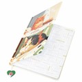 Дневник 1-11 класс 48 л., кожзам (твердая с поролоном), печать, ляссе с аппликацией, BRAUBERG, "Котики", 106958 106958