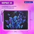 Папка для тетрадей BRAUBERG А5, 1 отделение, полиэстер, на молнии, с ручкой, "Fly Aways", 271499 271499