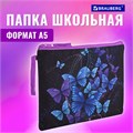 Папка для тетрадей BRAUBERG А5, 1 отделение, полиэстер, на молнии, с ручкой, "Fly Aways", 271499 271499