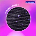 Папка для тетрадей BRAUBERG А5, 1 отделение, полиэстер, на молнии, с ручкой, "Fly Aways", 271499 271499